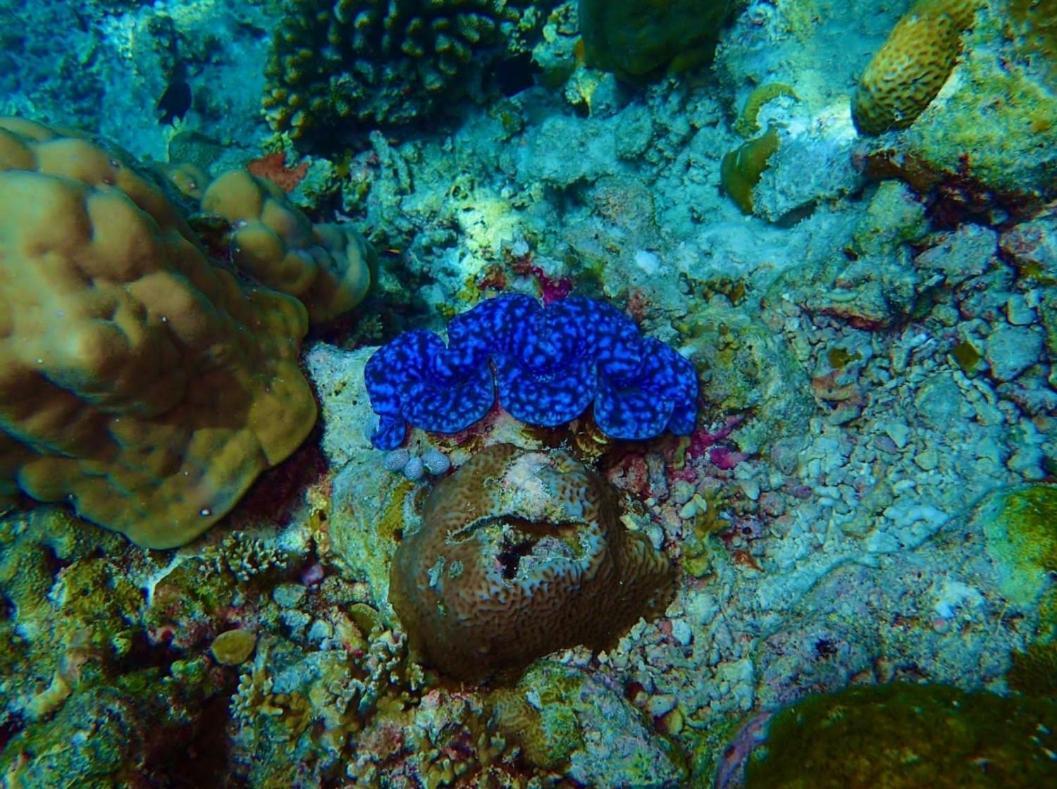 Ras Village Rasdhoo Zewnętrze zdjęcie