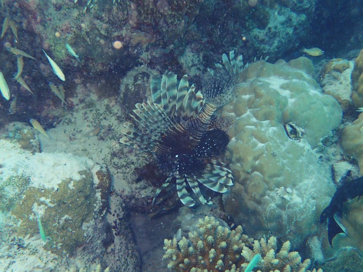 Ras Village Rasdhoo Zewnętrze zdjęcie