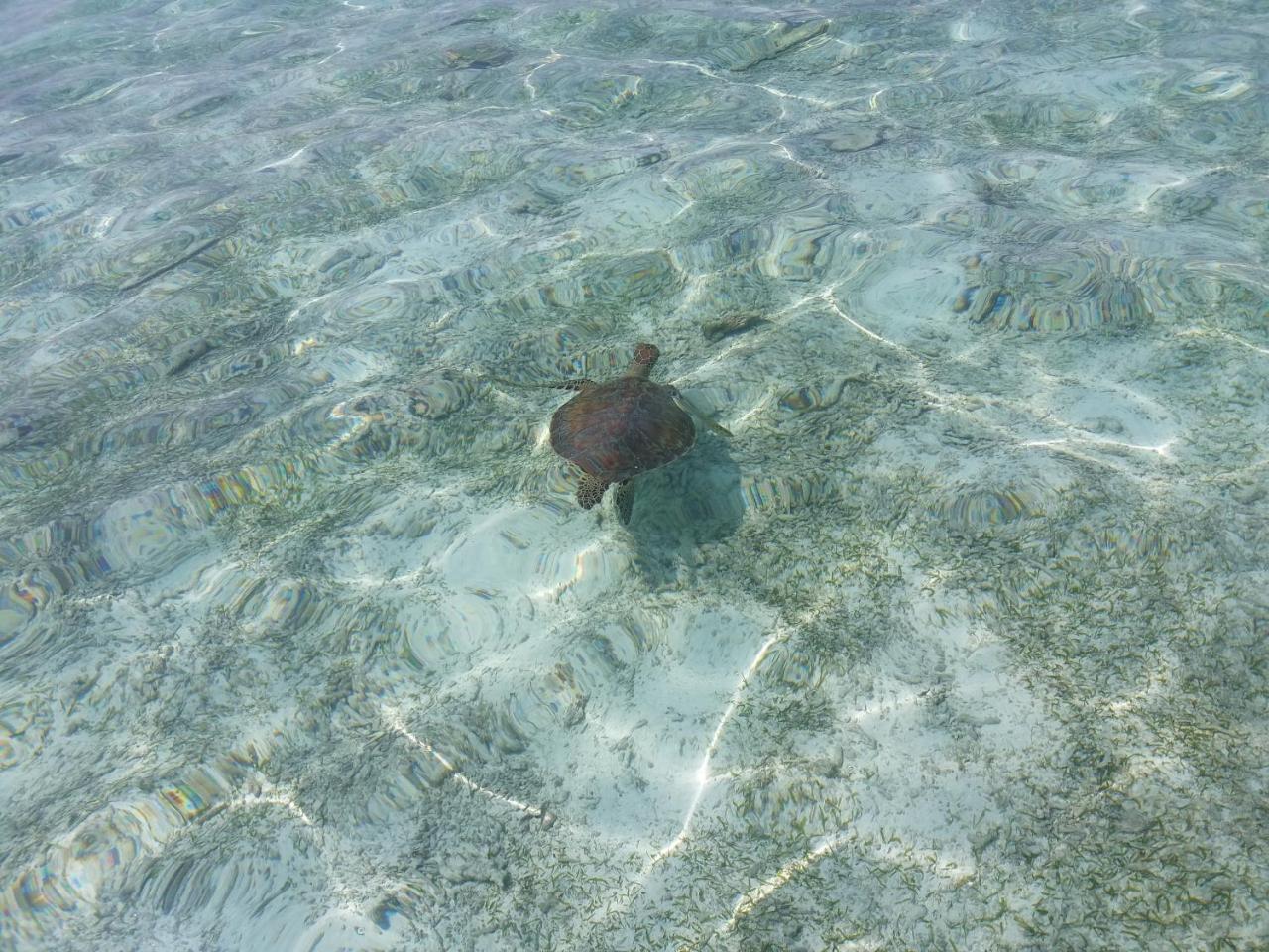 Ras Village Rasdhoo Zewnętrze zdjęcie