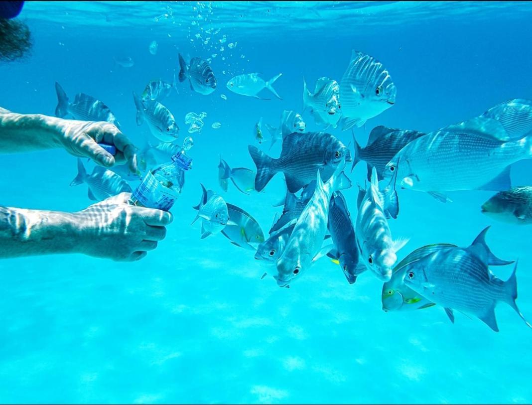 Ras Village Rasdhoo Zewnętrze zdjęcie